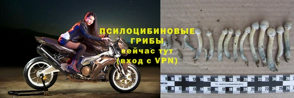 меф Коряжма