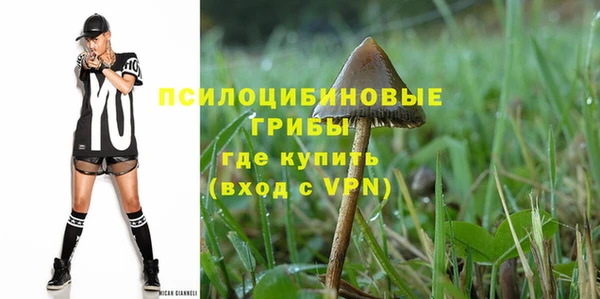 меф Коряжма