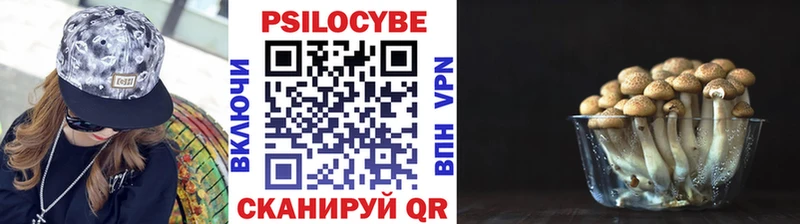 Купить  Черемхово  Галлюциногенные грибы Psilocybine cubensis 